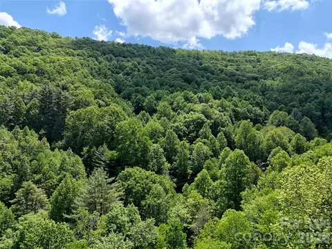000 Enchanted Forest 1 Dr #1, Sylva, NC 28779 photo 9