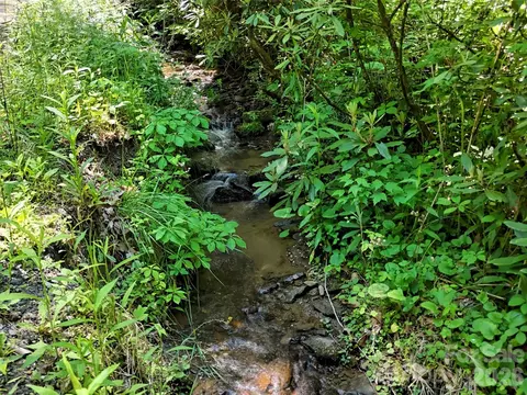 000 Enchanted Forest 1 Dr #1, Sylva, NC 28779 photo 11