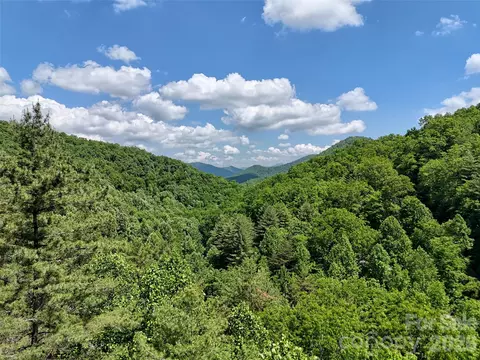 000 Enchanted Forest 1 Dr #1, Sylva, NC 28779 photo 7