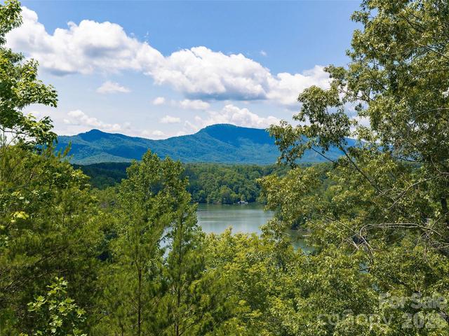 Loggers Pass Lane, Mill Spring, NC 28756