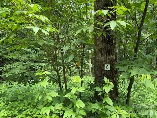 1555 Soco Road #6, Maggie Valley, NC 28751