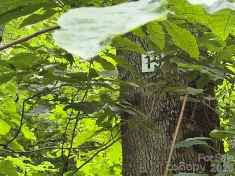 Iga 19 Trail #19, Maggie Valley, NC 28751