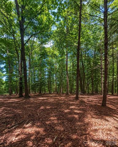 1324 Reflection Pointe Blvd, Belmont, NC 28012