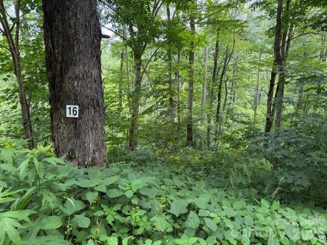 Iga 16 Trail #16, Maggie Valley, NC 28751