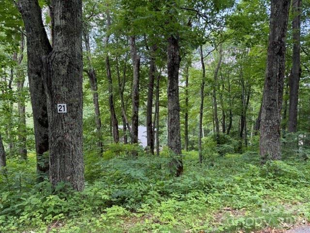 21 Trails End Lane #21, Maggie Valley, NC 28751