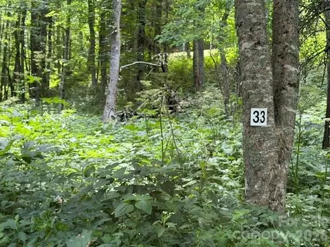 Toi 33 Trail #33, Maggie Valley, NC 28751