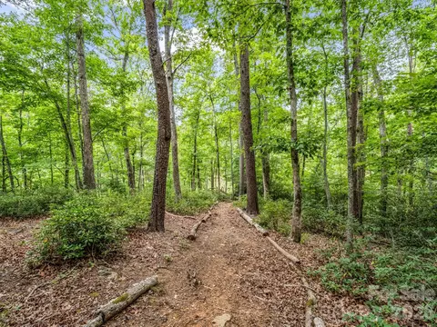 617 S Cove Rd, Mill Spring, NC 28756 photo 41