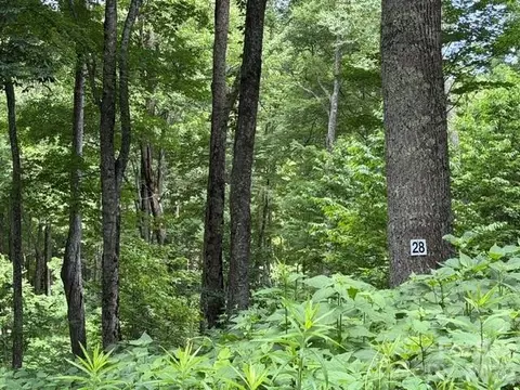 Toi 28 Trail #28, Maggie Valley, NC 28751