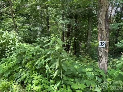 Toi 32 Trail #32, Maggie Valley, NC 28751