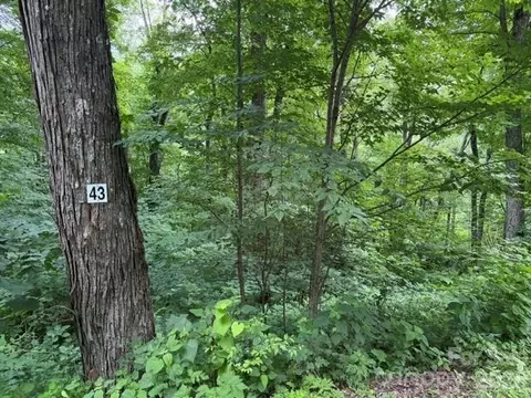 Gata 43 Trail #43, Maggie Valley, NC 28751