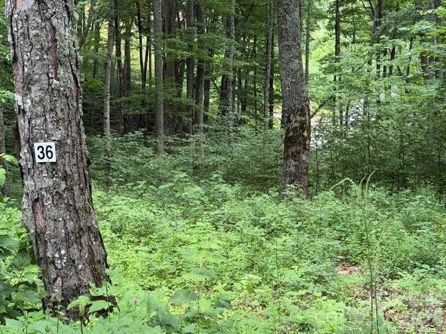 36 Trails End Lane #36, Maggie Valley, NC 28751
