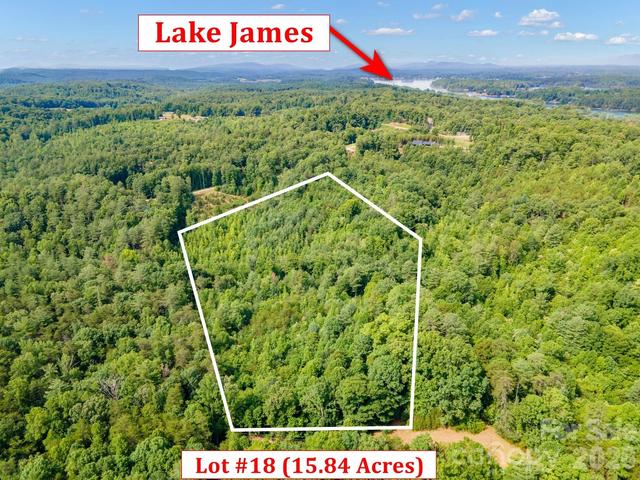 1383 Lemon 18 Ln #18, Morganton, NC 28655