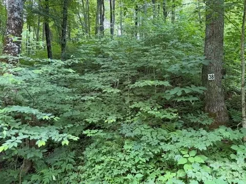Yanasa 38 Trail #38, Maggie Valley, NC 28751