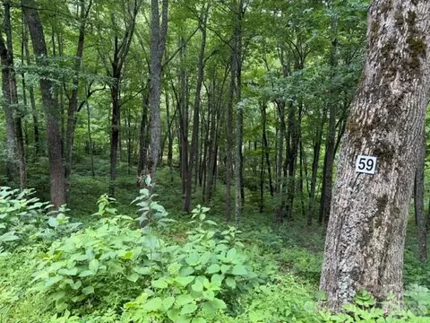 59 Trails End Lane #59, Maggie Valley, NC 28751