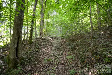 1 Board Tree Road #1, Marshall, NC 28753 photo 5
