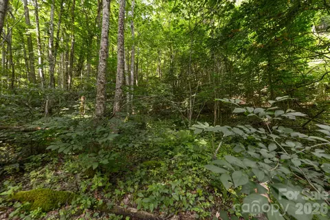 1 Board Tree Road #1, Marshall, NC 28753 photo 6