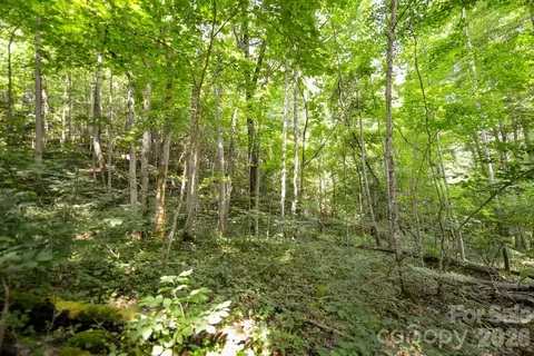1 Board Tree Road #1, Marshall, NC 28753 photo 7