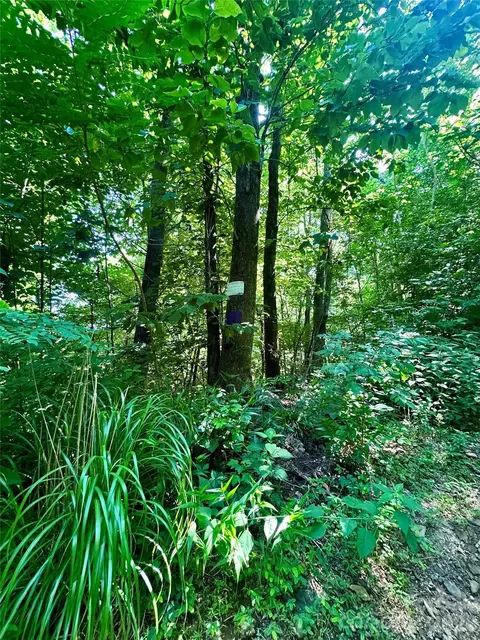 75 Fork Creek Rd, Saluda, NC 28773 photo 24