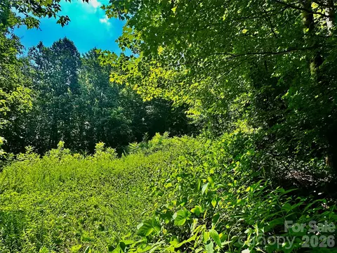 75 Fork Creek Rd, Saluda, NC 28773 photo 4