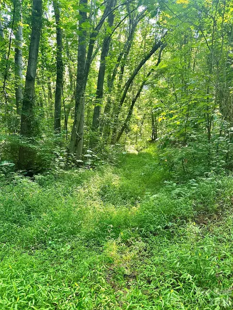 75 Fork Creek Rd, Saluda, NC 28773 photo 21