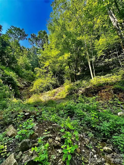 75 Fork Creek Rd, Saluda, NC 28773 photo 12