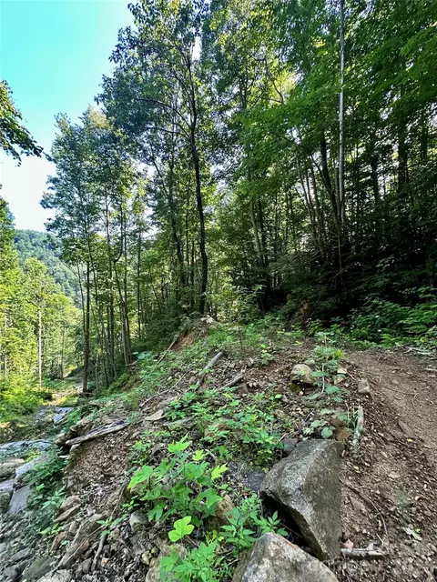 75 Fork Creek Rd, Saluda, NC 28773 photo 8
