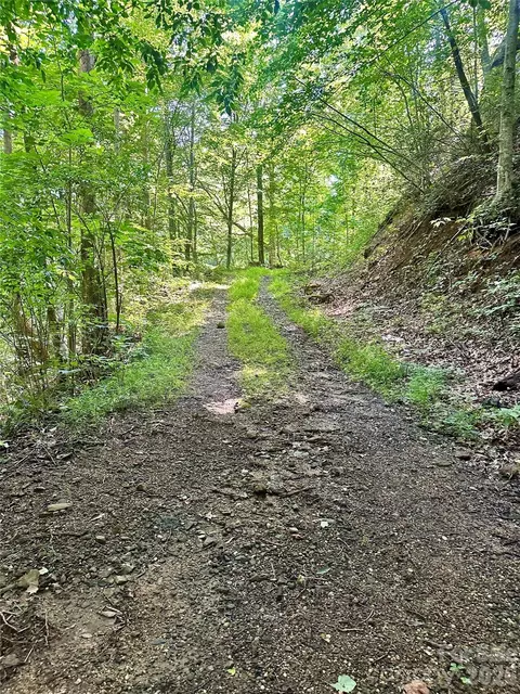 75 Fork Creek Rd, Saluda, NC 28773 photo 22