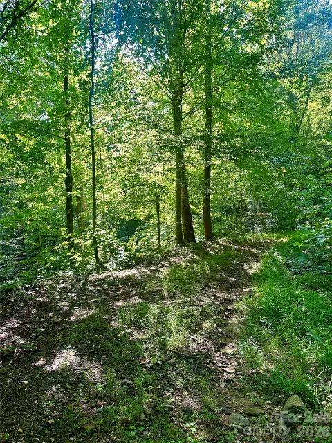 75 Fork Creek Rd, Saluda, NC 28773 photo 25