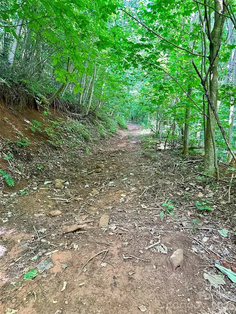 75 Fork Creek Rd, Saluda, NC 28773 photo 2