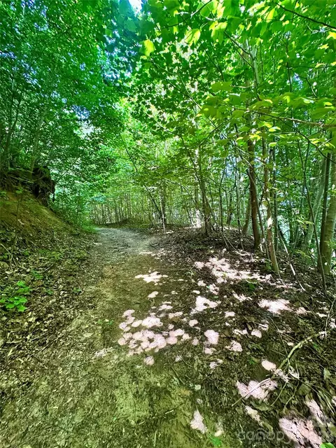 75 Fork Creek Rd, Saluda, NC 28773 photo 17