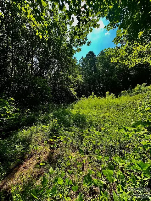 75 Fork Creek Rd, Saluda, NC 28773 photo 6