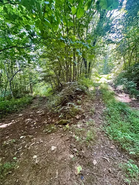 75 Fork Creek Rd, Saluda, NC 28773 photo 15