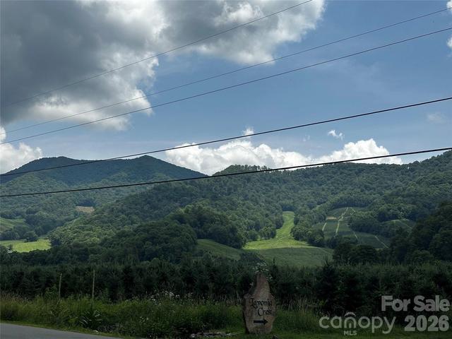 0 Green Creek Rd, Bakersville, NC 28705