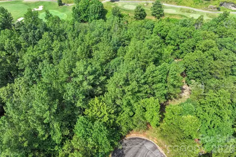 Monteith Place, Mill Spring, NC 28756 photo 10