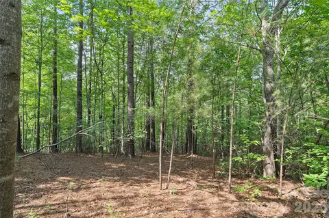 Monteith Place, Mill Spring, NC 28756 photo 8