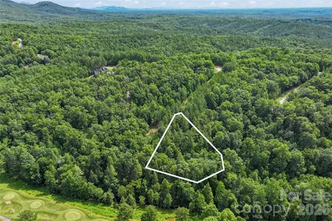 Monteith Place, Mill Spring, NC 28756 photo 3