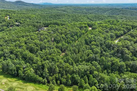 Monteith Place, Mill Spring, NC 28756 photo 15