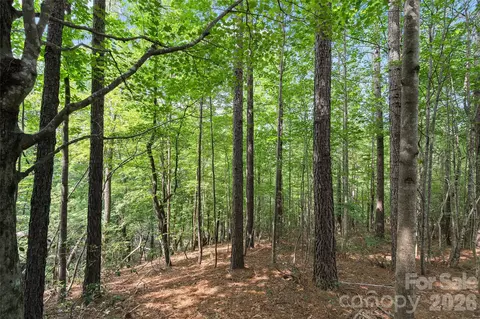 Monteith Place, Mill Spring, NC 28756 photo 7