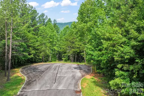 Monteith Place, Mill Spring, NC 28756 photo 4