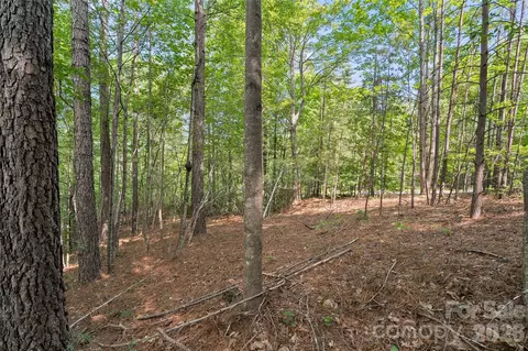 Monteith Place, Mill Spring, NC 28756 photo 6
