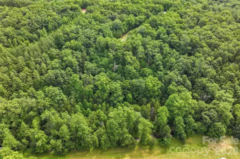 Stratford Place, Mill Spring, NC 28756 photo 8