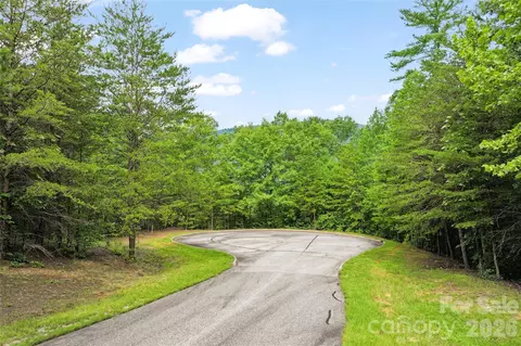 Stratford Place, Mill Spring, NC 28756 photo 4
