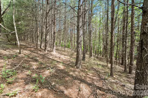 1361 E Deep Gap Farm Rd, Mill Spring, NC 28756 photo 7