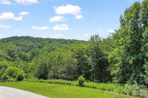 1361 E Deep Gap Farm Rd, Mill Spring, NC 28756 photo 6