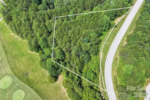 1361 E Deep Gap Farm Rd, Mill Spring, NC 28756 photo 2