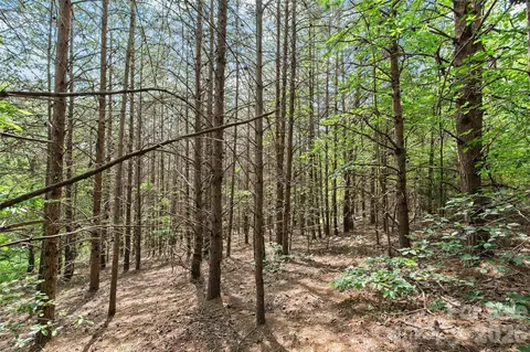 1361 E Deep Gap Farm Rd, Mill Spring, NC 28756 photo 8