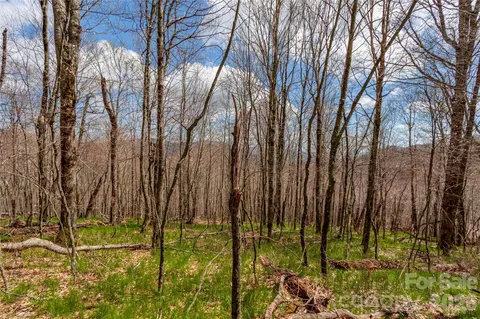 Mule Trail Drive, Bakersville, NC 28705