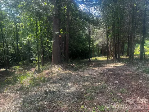 10376 Turnplow 9 Dr #9, Davidson, NC 28036 photo 4