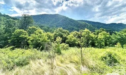 00 Split Pine Cv, Clyde, NC 28721 photo 1