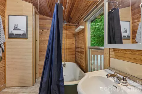 Bath - 61 Bo Diddly Ln, Cedar Mountain, NC 28718 photo 2 of 4